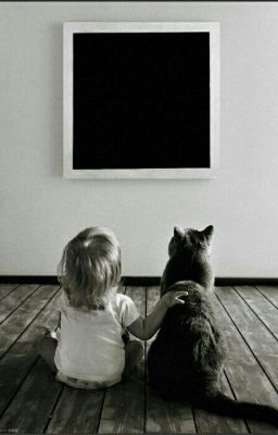 Чёрный квадрат