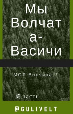 Мы Волчата-Васичи