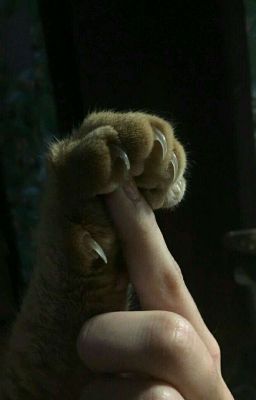 Поцелуй Зигмунда.