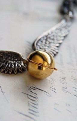 Гарри Поттер-жизнь в параллельной реальности