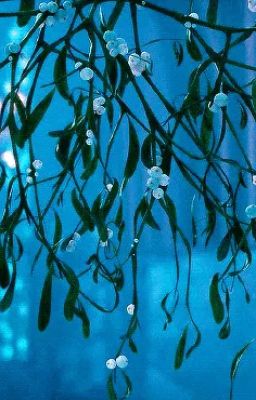 Рождество в мэноре