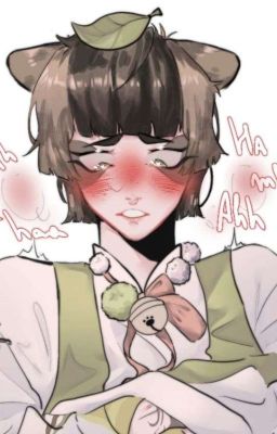 Глупый Тануки