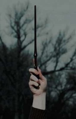 🖤𝓝𝓮𝔀 𝓵𝓲𝓯𝓮 🖤