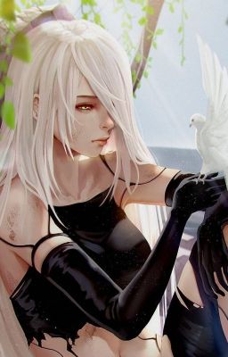 Чёрный феникс