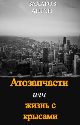 Автозапчасти или жизнь с крысами.