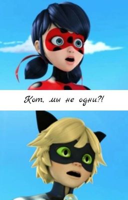 Кот, мы не одни?!