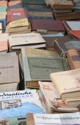 100 САМЫХ ЧИТАЕМЫХ СТИХОТВОРЕНИЙ