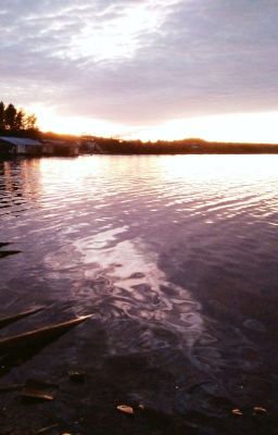 Дачный детектив