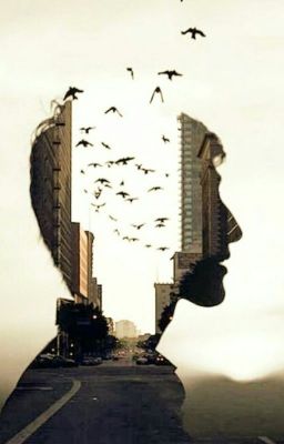 Летний денек