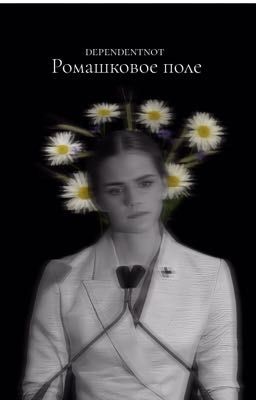 Ромашковое поле