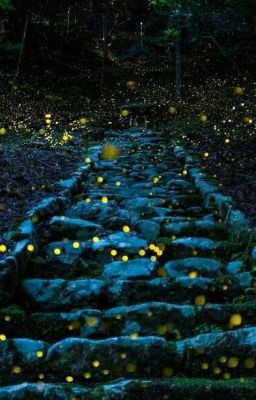 Аллаһтың 99 көркем есімі