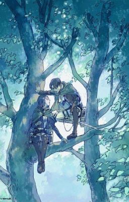 Расправь крылья свободы