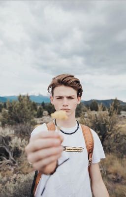 Новая жизнь и новая история