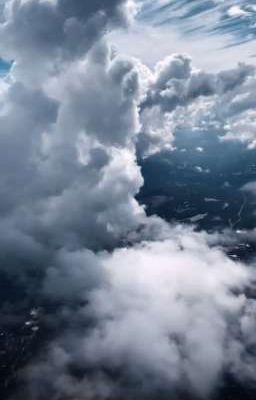 В небеса за райским древом. 