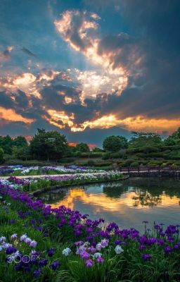 ~Бредни, рисунки и почеркушки Автора~