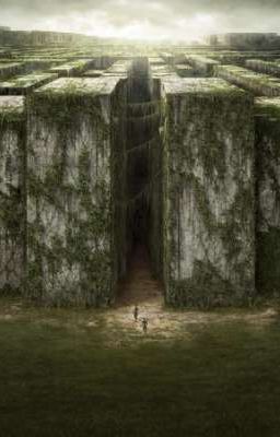 Бегущая в лабиринте