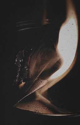 Записи идиота