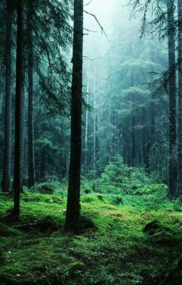 Моя жизнь до встречи с вами