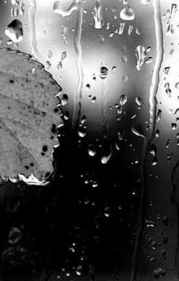 Иллюзия Совершенства