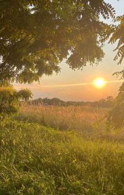 Лагерь, Приключения и что-то ещё...