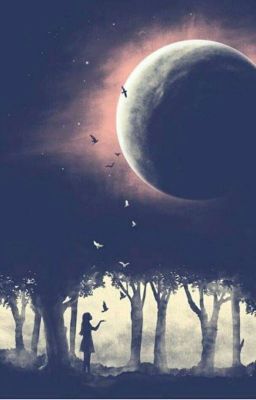 Моя Частица 