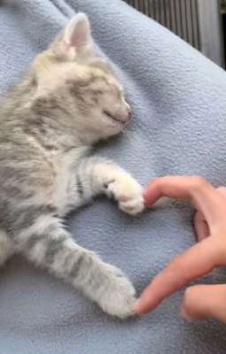 "Это всего лишь сон..."