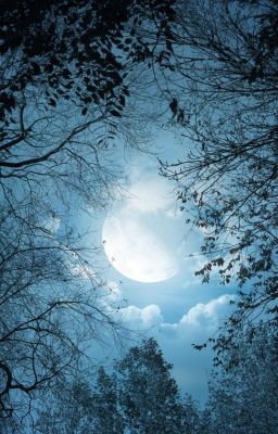 Подлунный город: Танец под луной