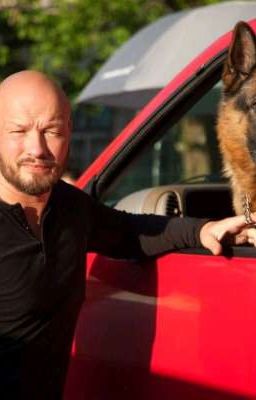 Пес. Следствие ведёт.