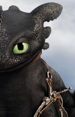 Другая история "Как приручить дракона"