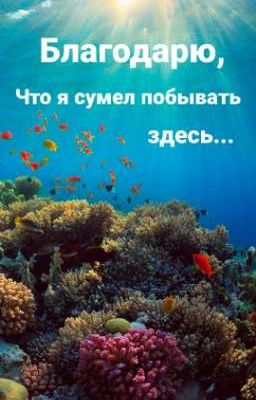 Благодарю, что я сумел побывать здесь...