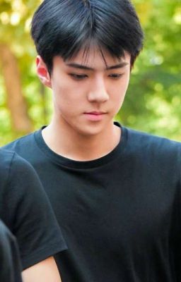 Жизнь-счастье