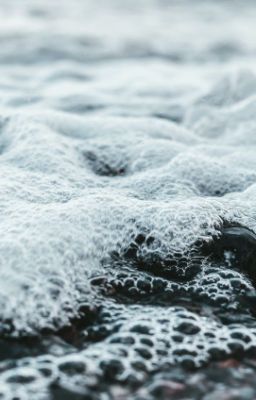 Тайна голубой лагуны