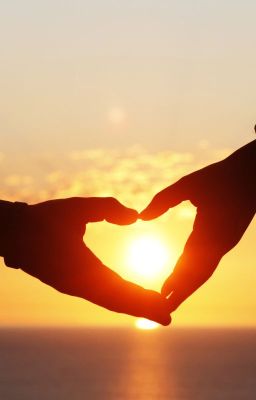 Волейбольное сердцебиение🏐❤️