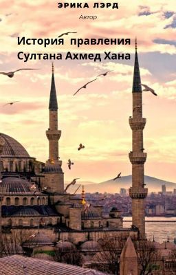 История правления Султана Ахмед Хана