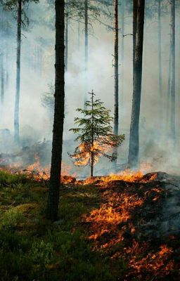 Титул: Палач Вечности