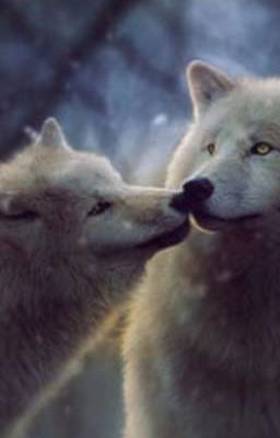 Истинная луна