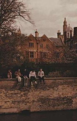 Младшая сестра мародёров