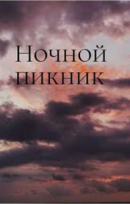 Ночной пикник