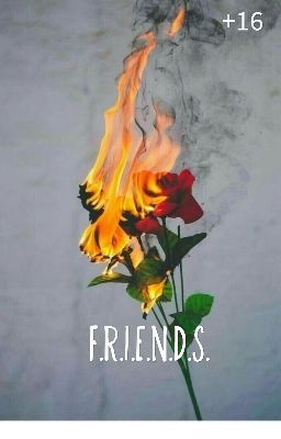 FRIENDS [16+]