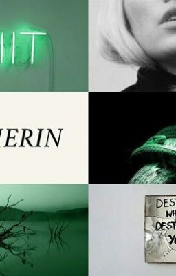 Вертикальными прямыми.