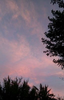 •Мои стихи•