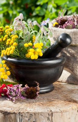 Лечебные травы