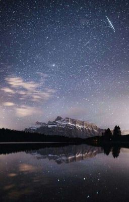 Я Попала великий из бродячих псов