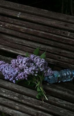 Ебучая математика!