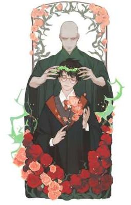 Гарри Потерр Джеймс и Воландеморт(Том) Мараоло Редл