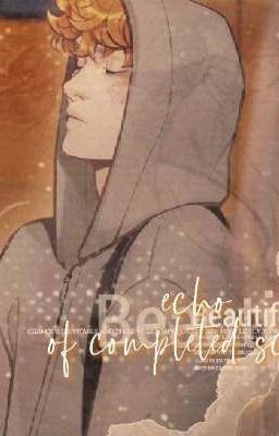 Эхо законченных сцен