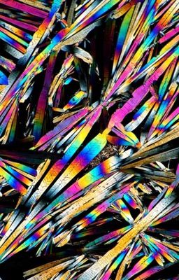 Обычная жизнь Эми Ликуид