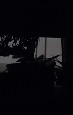 Тихая Ночь {Creepypasta}