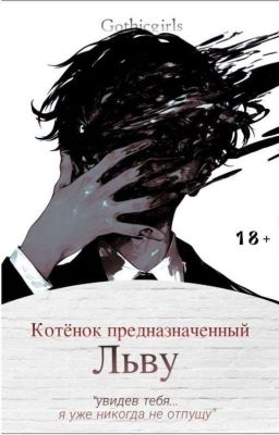 Котёнок Предназначенный Льву