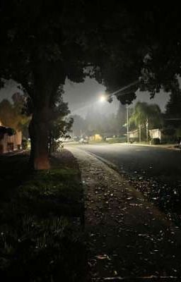 Остерегайтесь белых машин